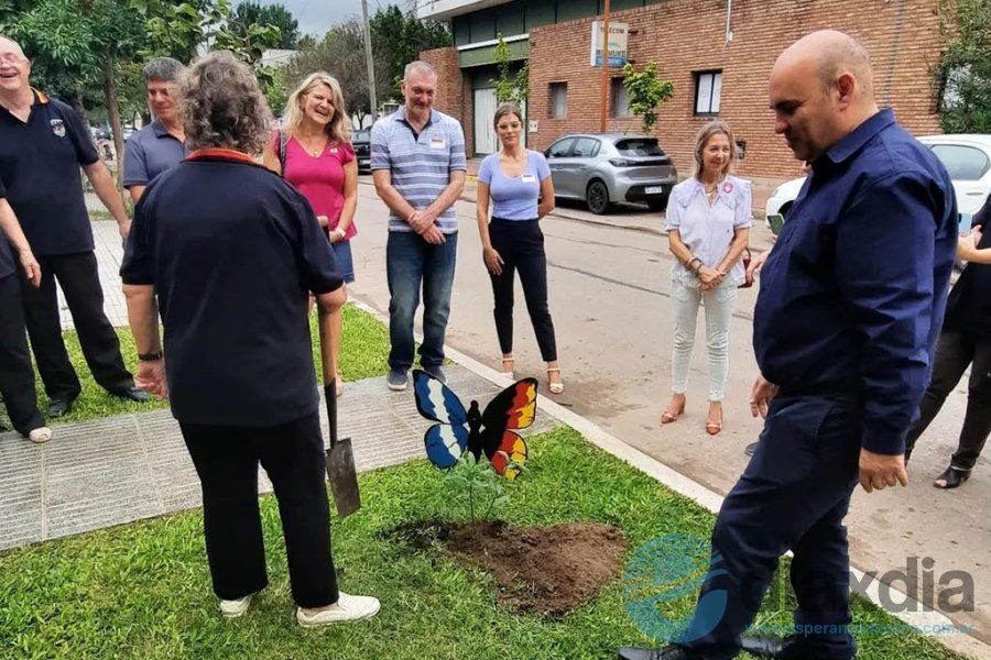 Plantación de un árbol en el homenaje