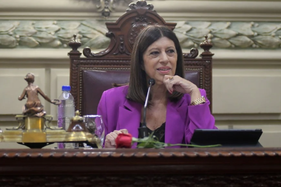 Clara García preside la Cámara de Diputados.