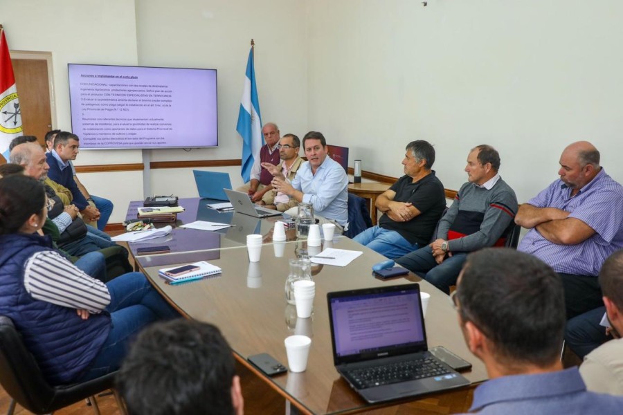 Analizaron situación por la chicharrita del maíz.