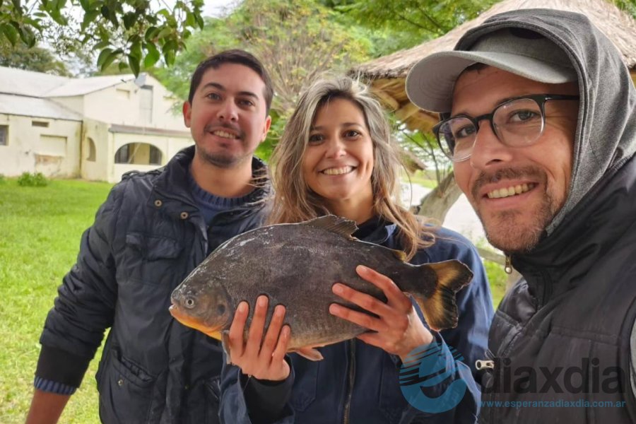 Cosecha de Pacúes en el río Coronda