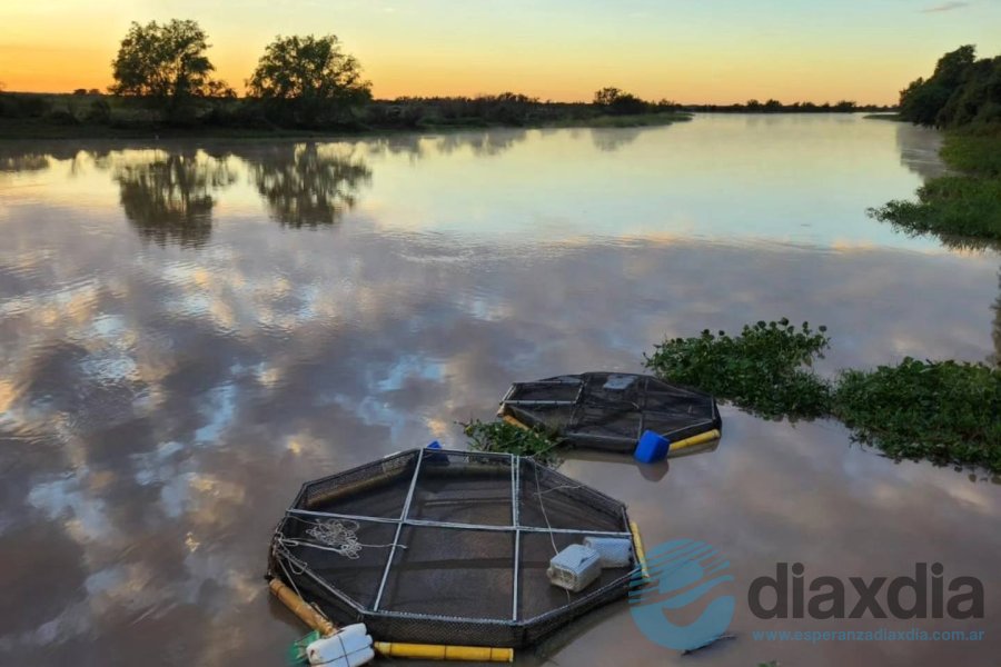 Cosecha de Pacúes en el río Coronda