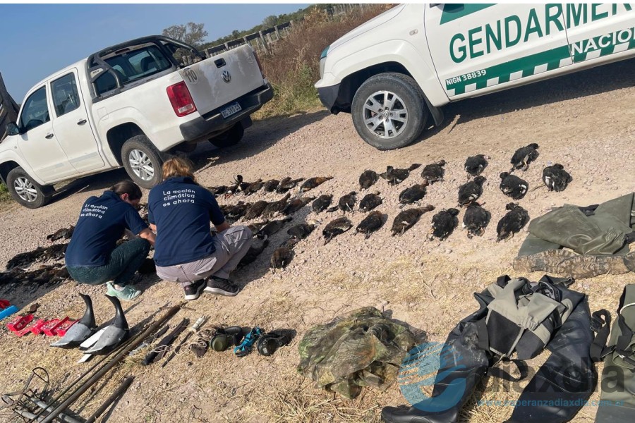 Imagen solo referencial Imagen solo referencial