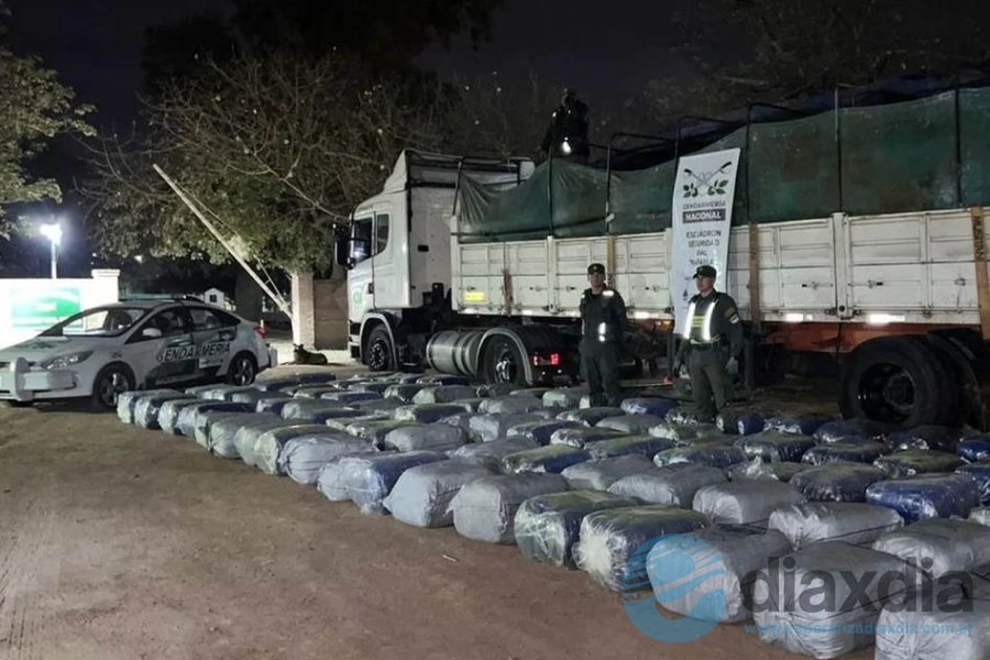 Impactante secuestro de hojas de coca
