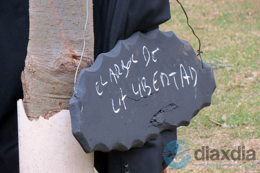 El árbol de la libertad - Foto Nene Erni