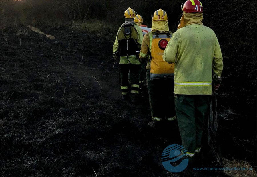 Bomberos en un incendio forestal - Archivo