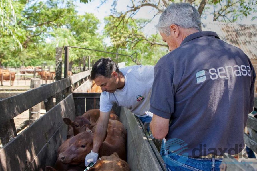 Segunda campaña de vacunación del año