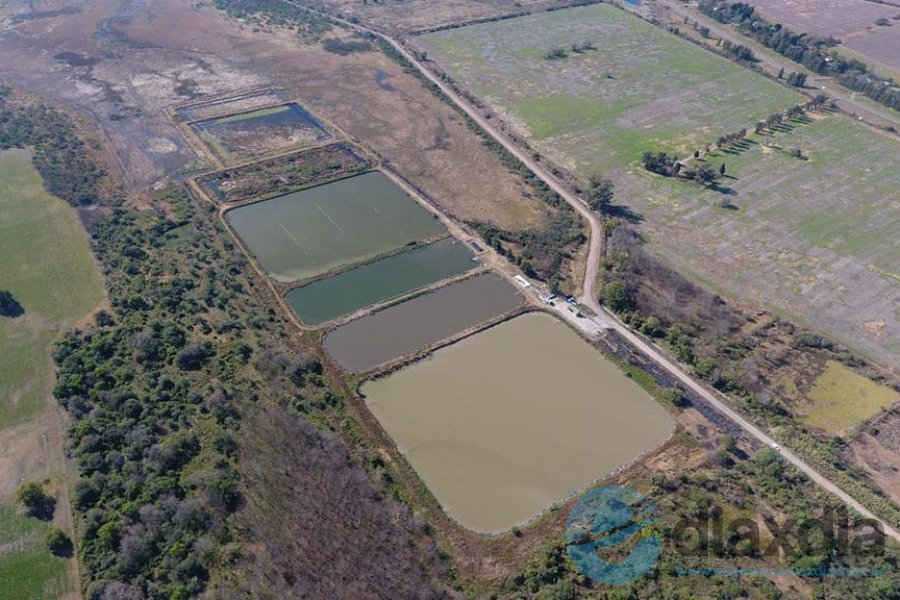 Vista aérea de la planta de cloacas de ASSA