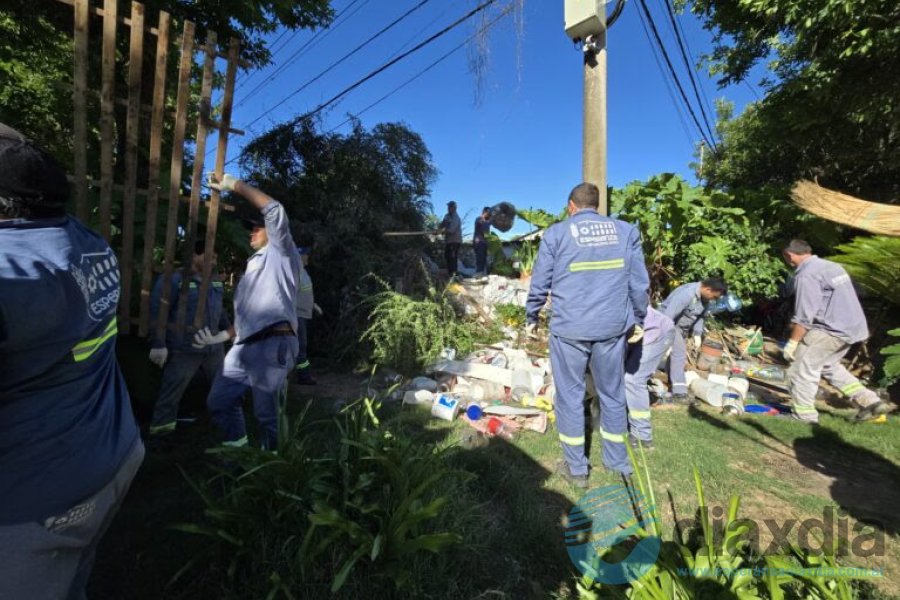 Numerosos operarios municipales intervienen