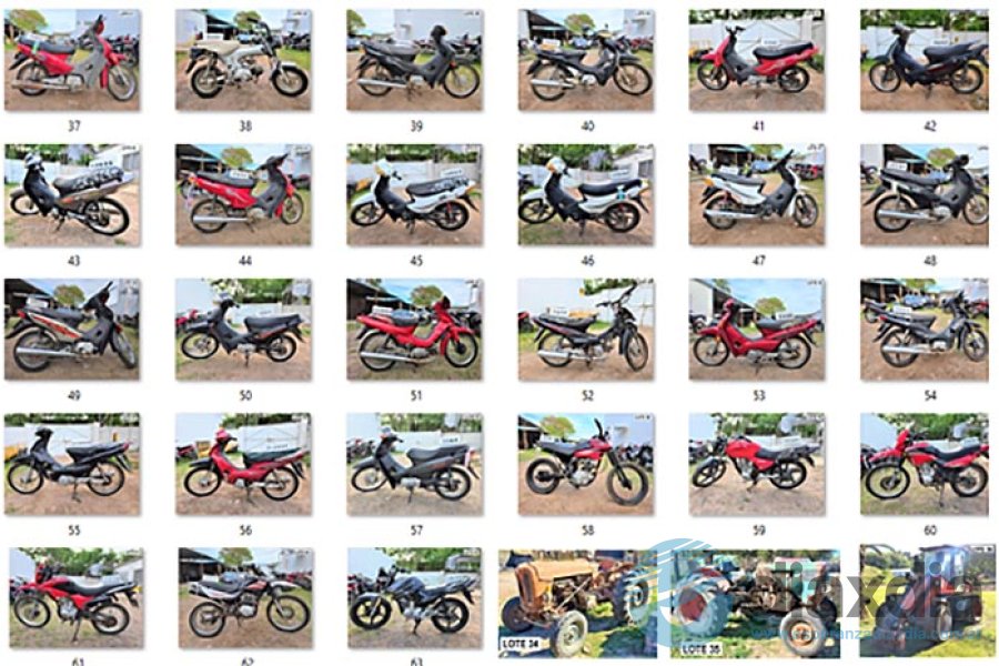 Algunos de los lotes disponibles para la subasta