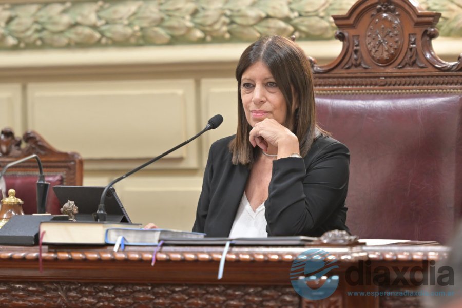 García presidiendo la sesión de Diputados