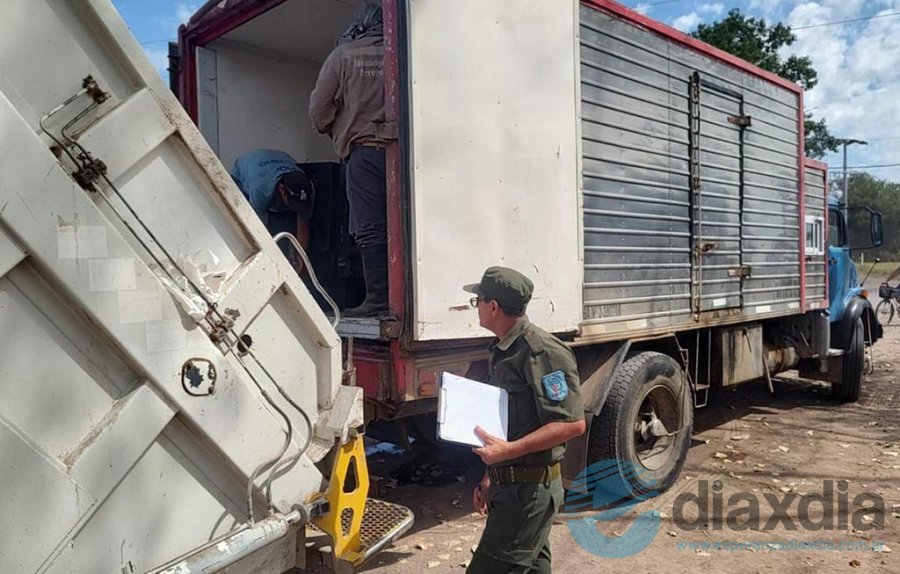 El pescado fue trasladado como residuo - Foto Gobierno Santa Fe