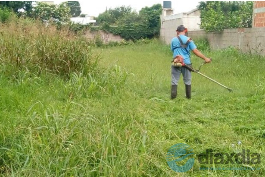 Limpieza terrenos baldios Limpieza terrenos baldios