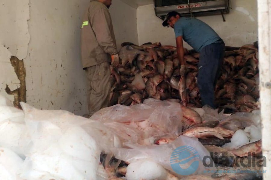 El decomiso por falta de documentación El decomiso por falta de documentación