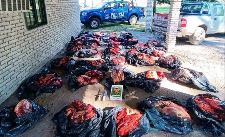 La carne transportada de manera ilegal