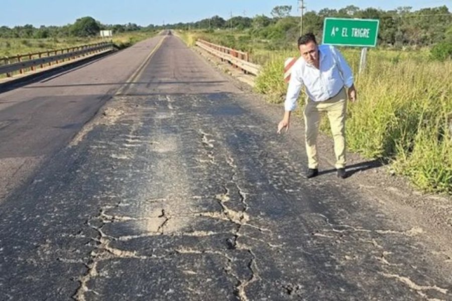 El juez federal Aldo Alurralde dio lugar al amparo El juez federal Aldo Alurralde dio lugar al amparo
