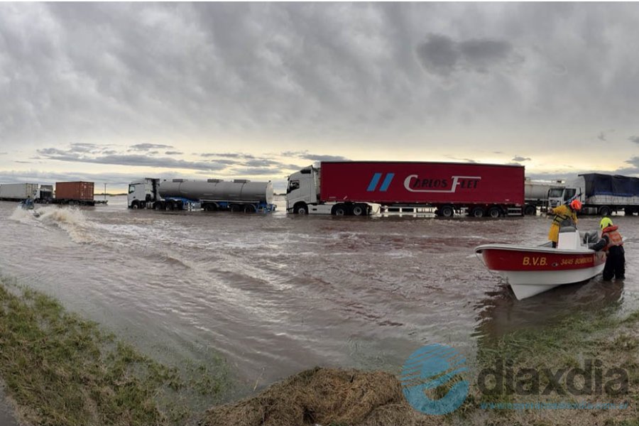 Camiones y colectivos varados en la autopista