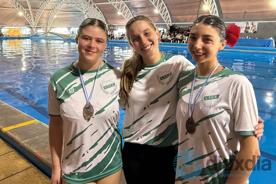 Engler, Blume y Engler del LTCE