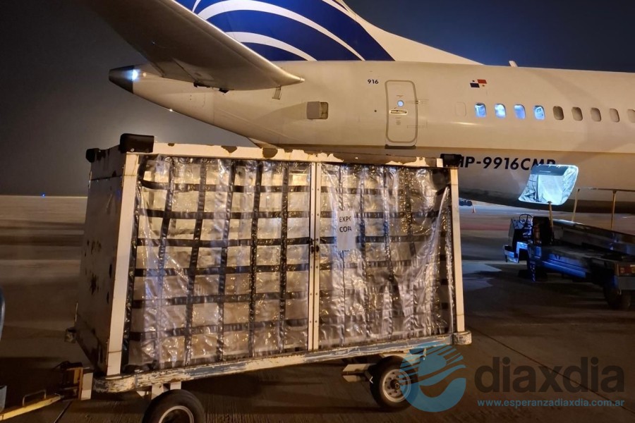 La exportación voló por Copa a Panamá