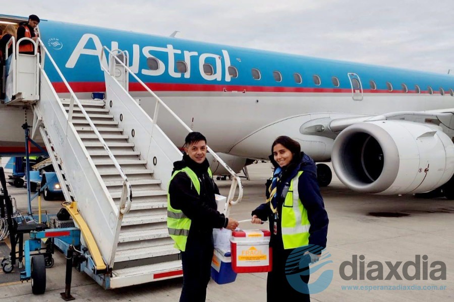 Uno de los traslados de los órganos desde StaFe