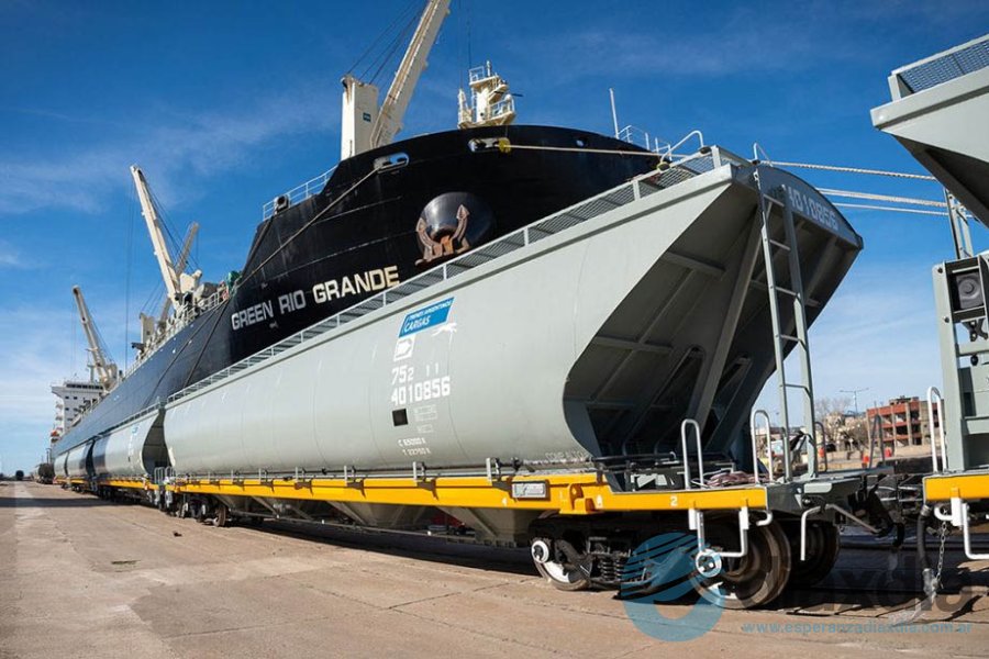 Los nuevos vagones llegaron al puerto argentino Los nuevos vagones llegaron al puerto argentino