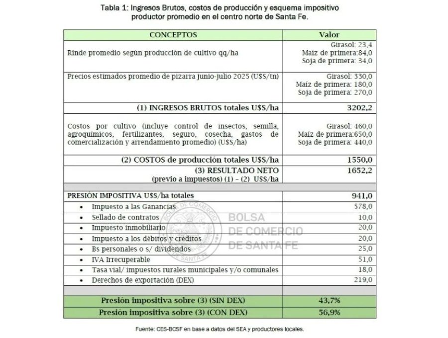 Ingresos brutos, costos de producción y esquema impositivo.