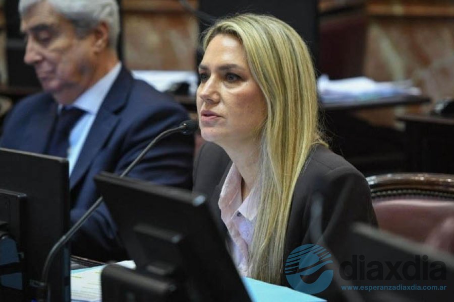 La única senadora santafesina que votó en contra La única senadora santafesina que votó en contra