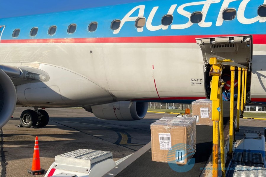 Esta semana comenzó Exporta Simple desde Sauce Esta semana comenzó Exporta Simple desde Sauce