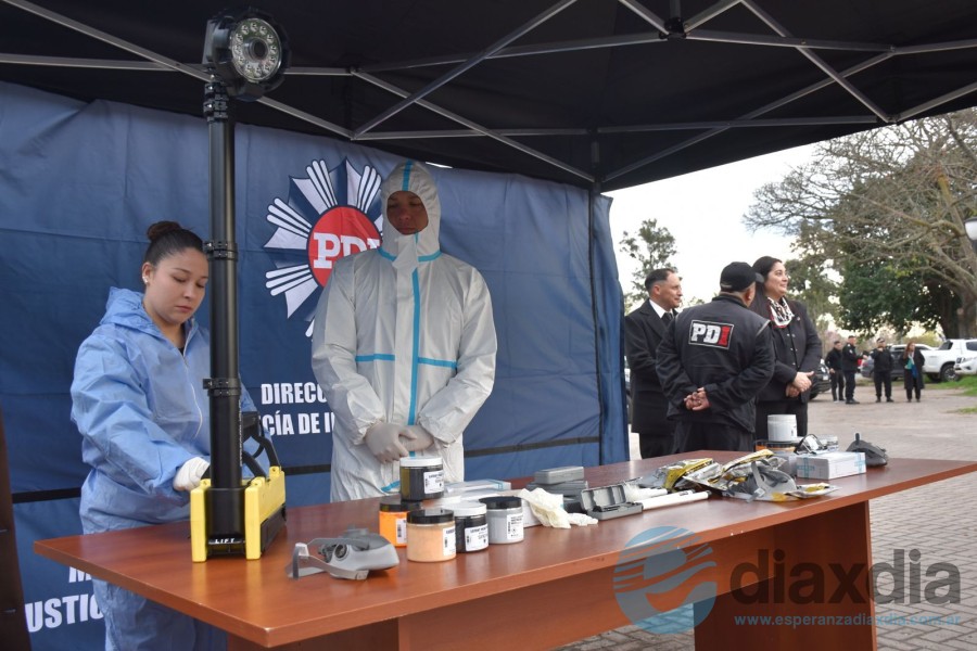 Cada minibus tiene gazebos y elementos técnicos