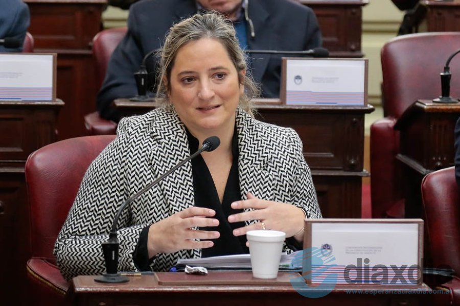 Lucila Lehmann en el debate de la convención Lucila Lehmann en el debate de la convención
