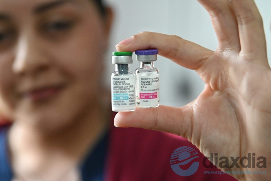 Las vacunas contra el dengue las compró Provincia